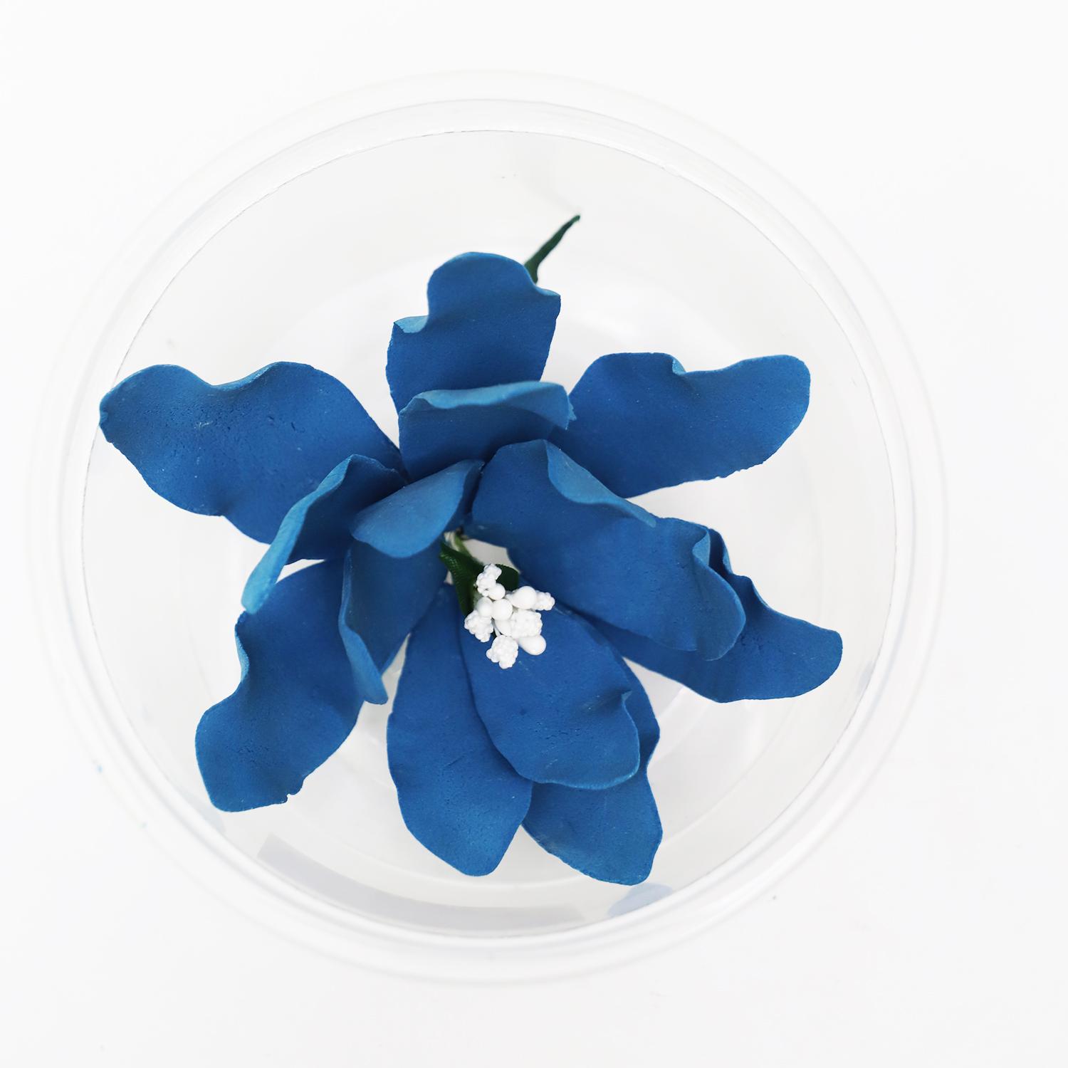 SUPER CAKES MAGNOLIA FLOWER ROYAL BLUE