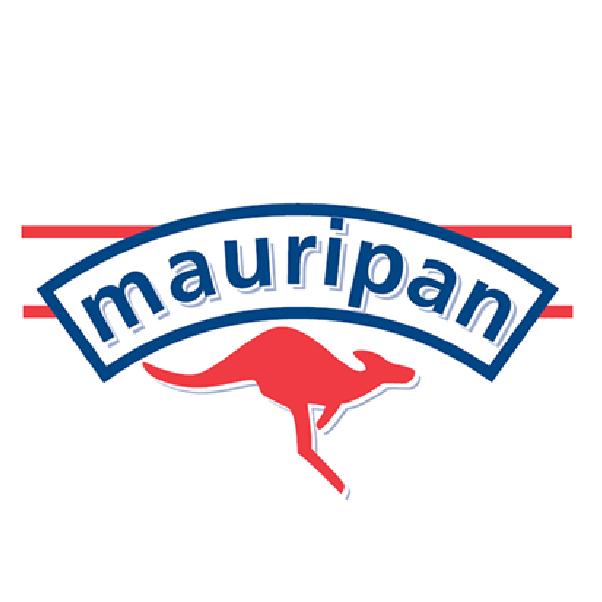 AB MAURIPAN 2 IN 1 SOFT RED YEAST WITH IMPROVER 500GMS