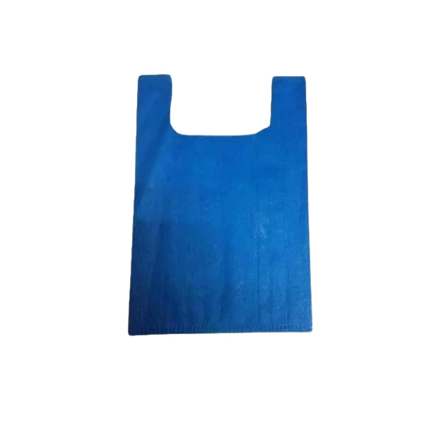 #15 WOVEN BAG BLUE