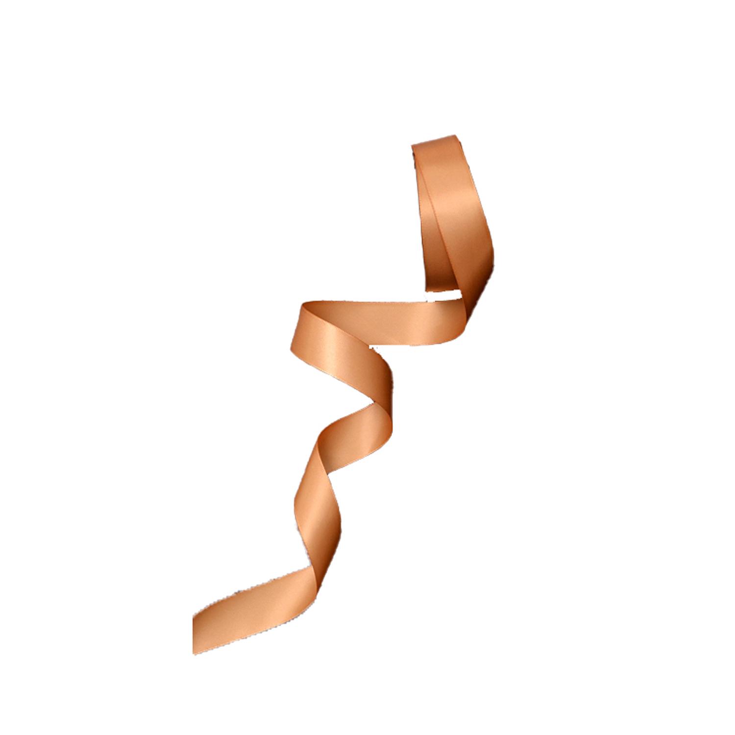 1M PAPER RIBBON BROWN