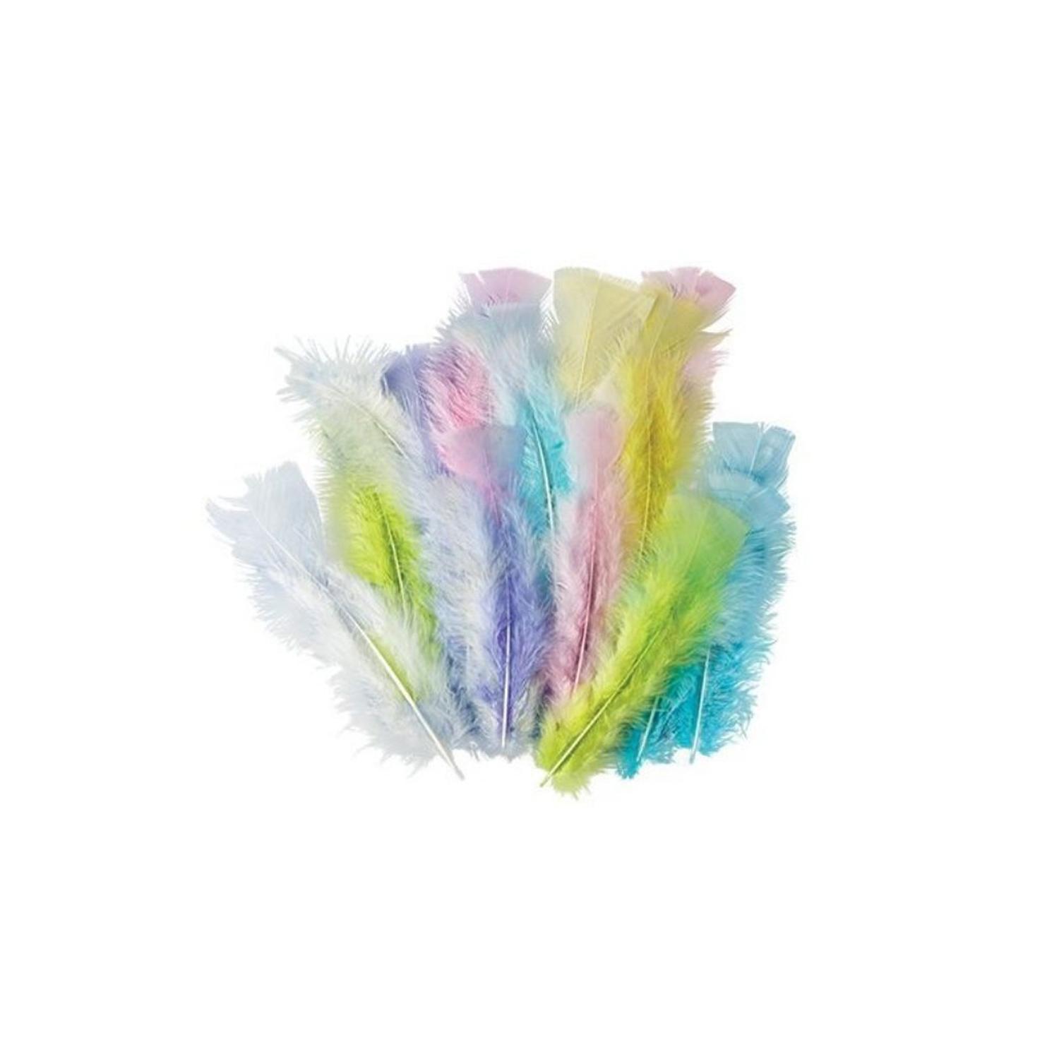 5PCS PASTEL COLOUR FEATHERS