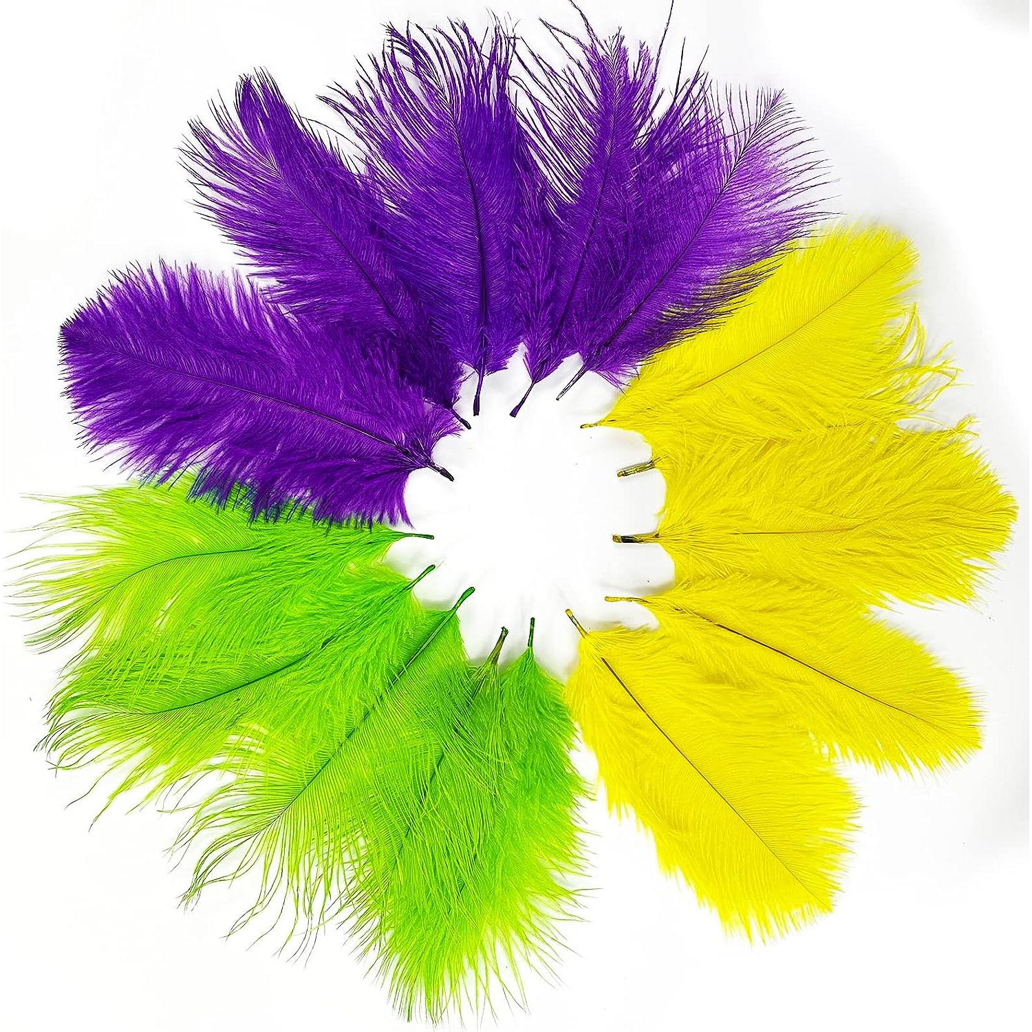 5PCS VIBRANT COLOUR FEATHERS