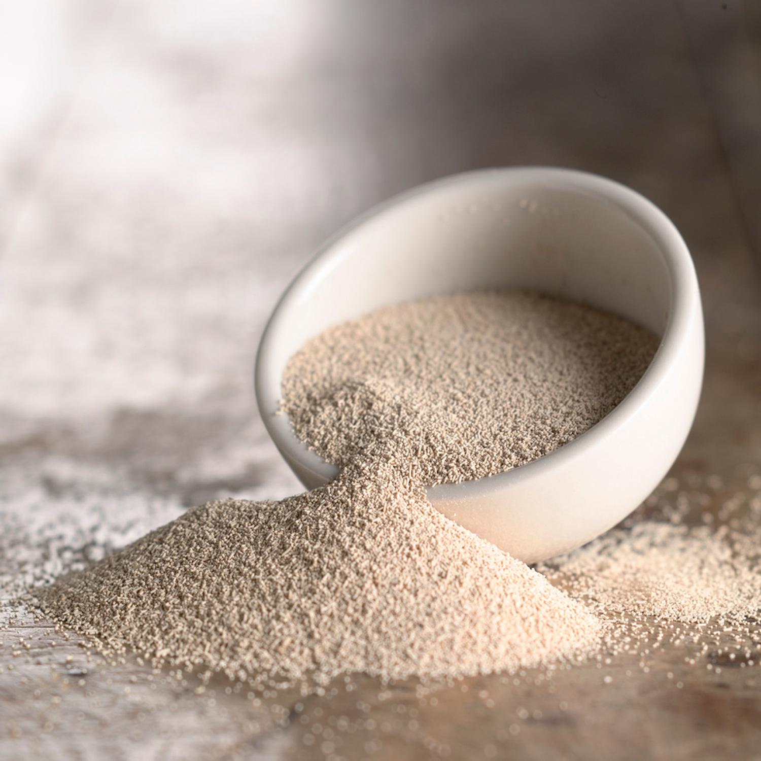 PAKMAYA INSTANT DRY YEAST 500G