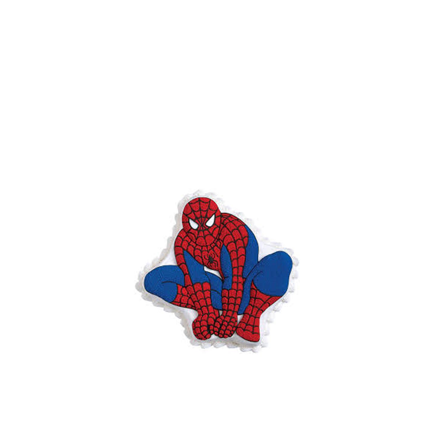 SPIDERMAN TIN