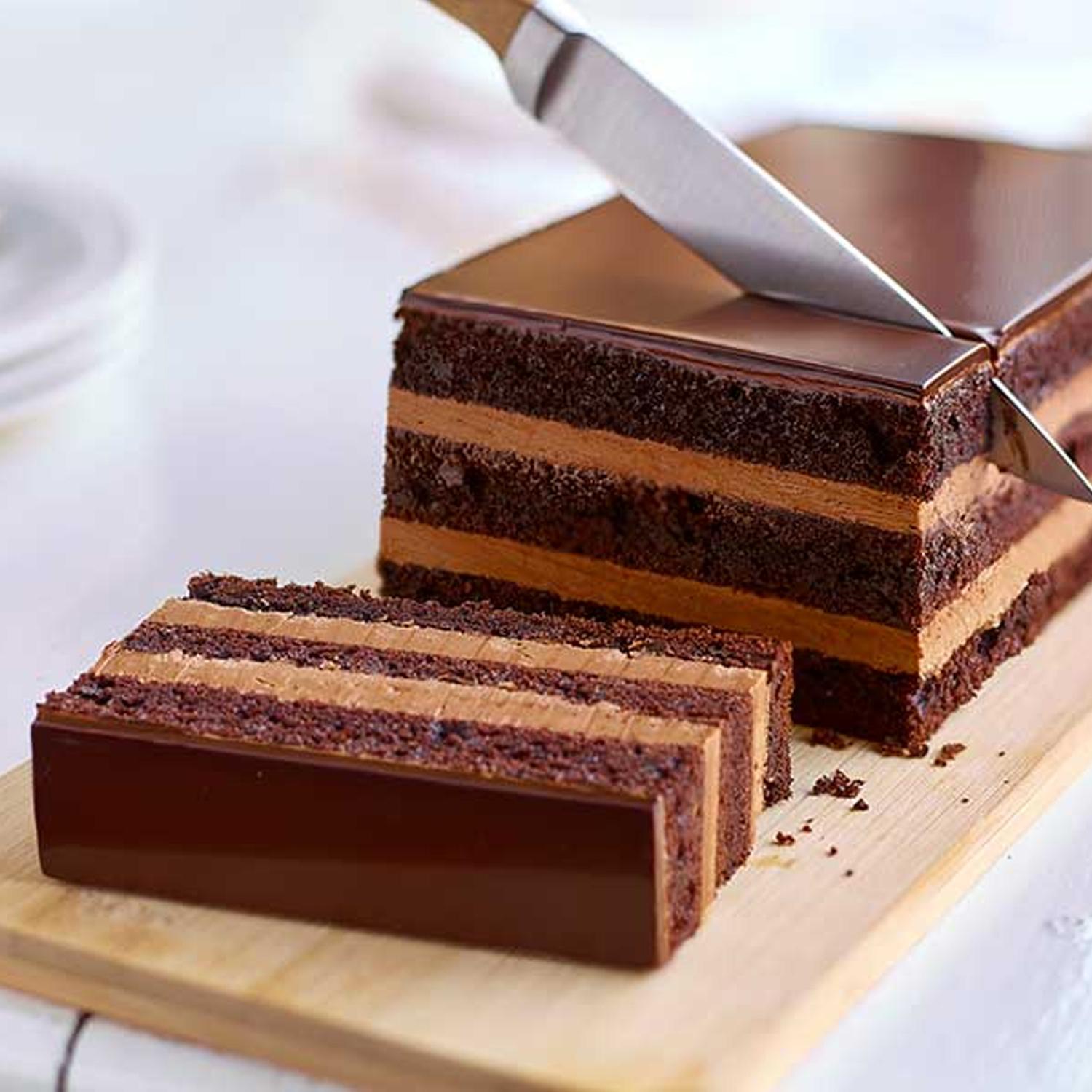 PURATOS TEGRAL BISCUIT CHOCOLATE CAKE MIX 1KG