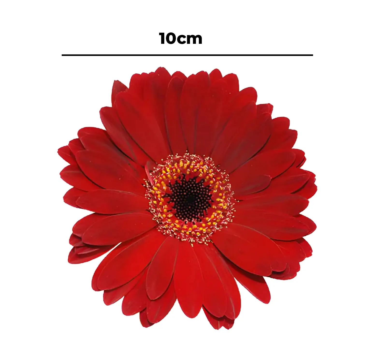 RED DAISY ARTIFICIAL FLOWER 10CM